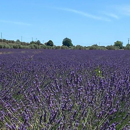 Gite Cocotte Luberon, Forcalquier Pierrerue  Eksteriør bilde