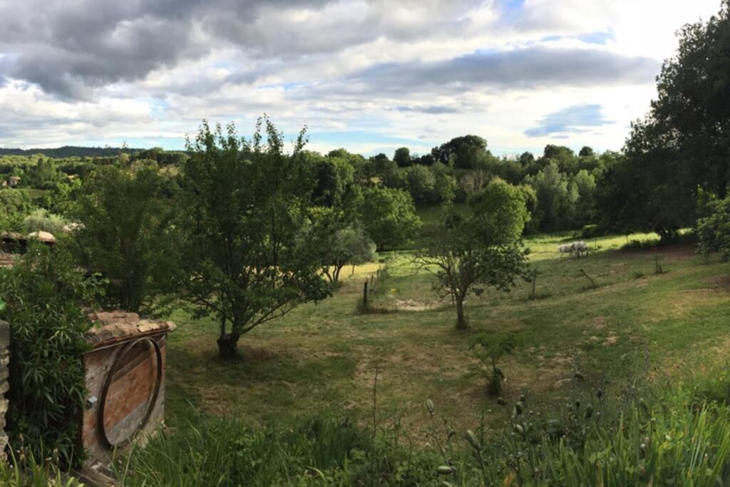 Gite Cocotte Luberon, Forcalquier Pierrerue  Eksteriør bilde