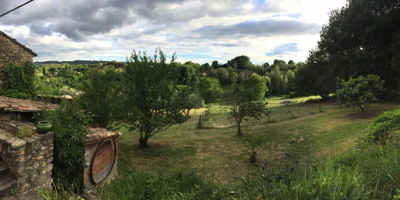 Gite Cocotte Luberon, Forcalquier Pierrerue  Eksteriør bilde